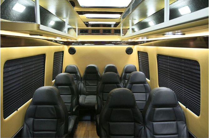 Mercedes Sprinter Executive Van - Photo 2