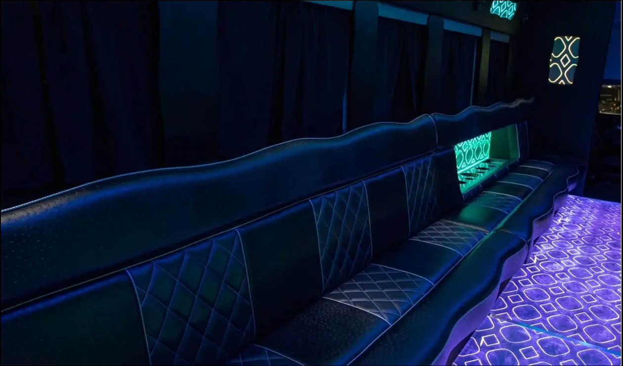 Amelia Party Bus - Photo 3