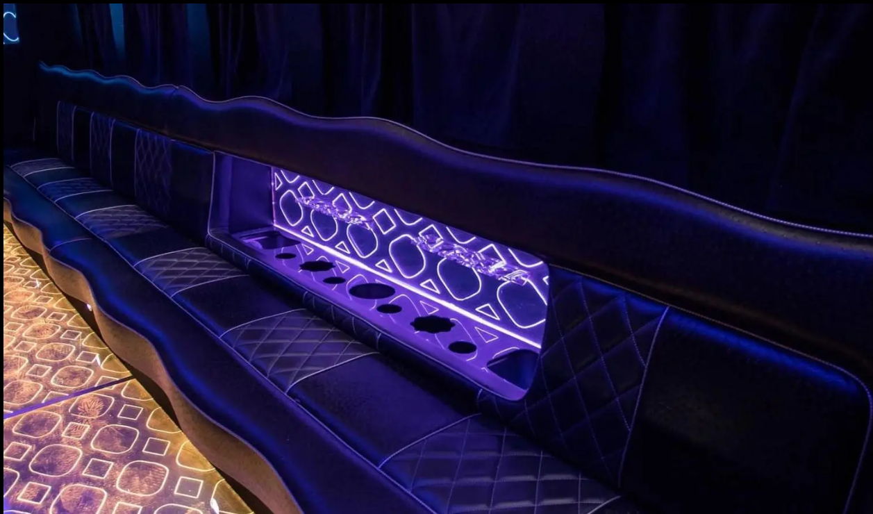 Amelia Party Bus - Photo 8