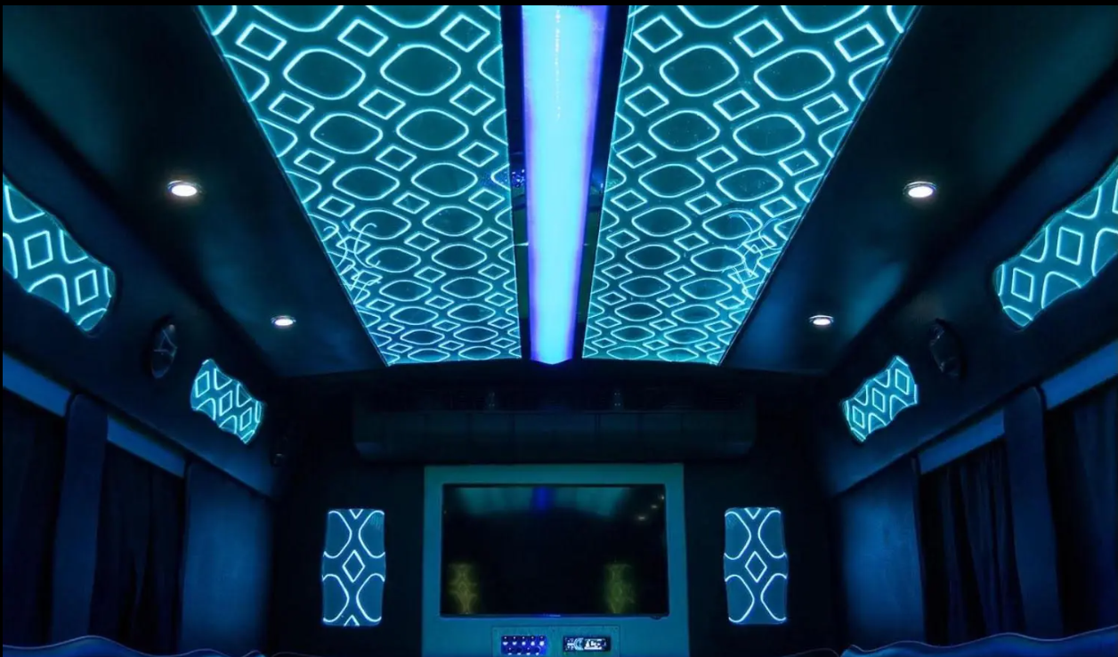 Amelia Party Bus - Photo 9