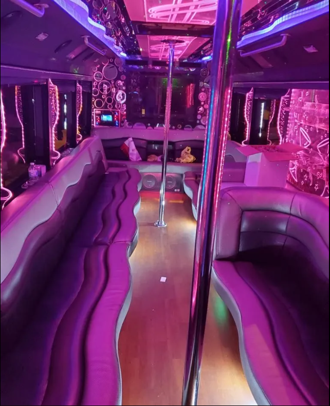 Limo Party bus with 2 ples - Photo 3