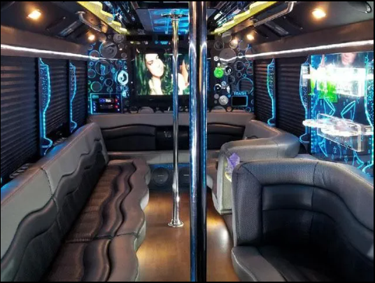 Limo Party bus with 2 ples - Photo 4