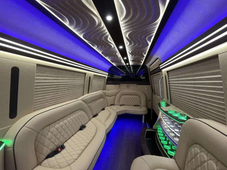 Mercedes Sprinter Limo White 14 pass - Photo 3