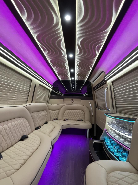 Mercedes Sprinter Limo White 14 pass - Photo 4