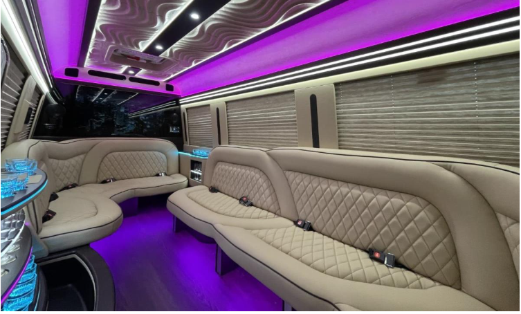 Mercedes Sprinter Limo White 14 pass - Photo 5