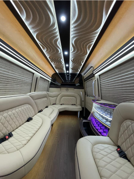 Mercedes Sprinter Limo White 14 pass - Photo 6