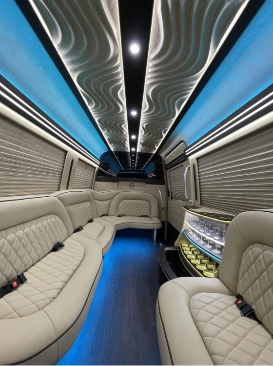 Mercedes Sprinter Limo White 14 pass - Photo 7