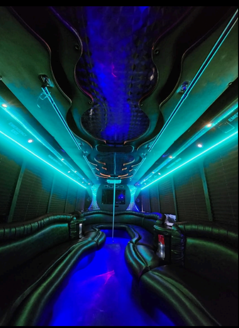 White Night party bus - Photo 2