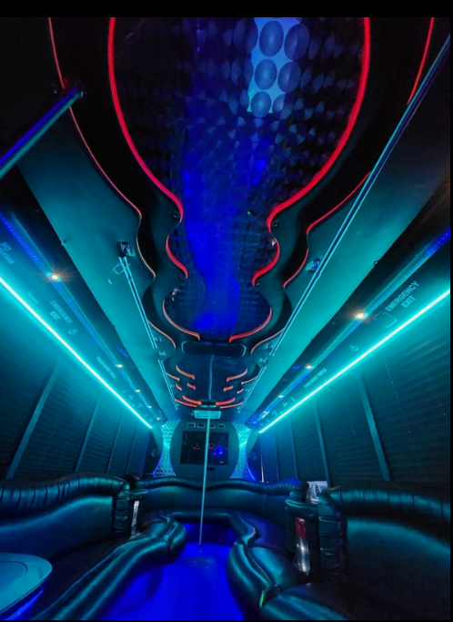 White Night party bus - Photo 3