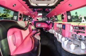 Hummer Stretch pink - Photo 2