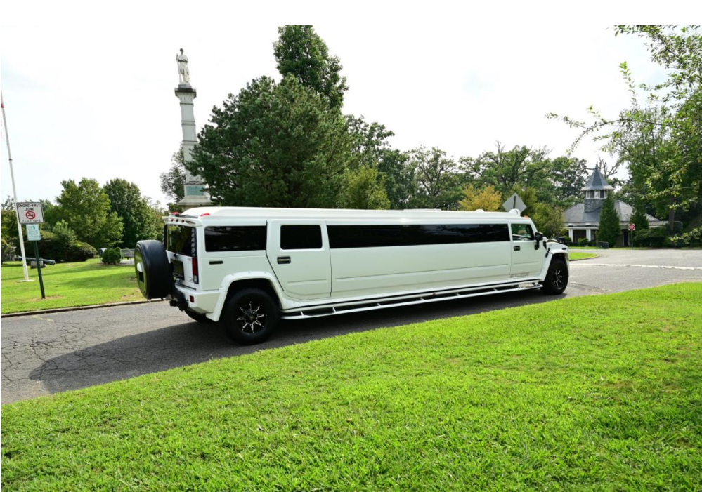 Hummer Stretch pink - Photo 3